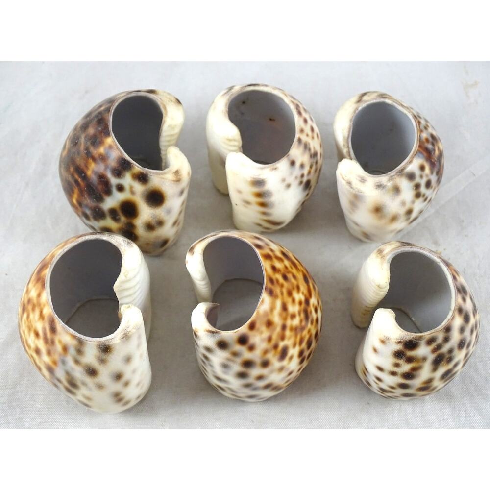 Vintage Tiger Cowrie Shell Napkin Rings Set of 6 Coastal Beach House Table Decor - Picture 3 of 5